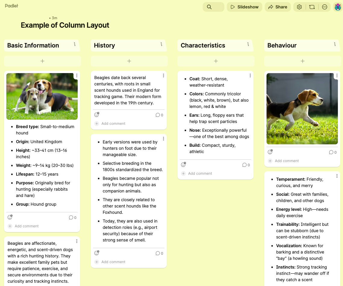 Screenshot of a Padlet wall in column layout showing information about Beagles organised into four sections: Basic Information, History, Characteristics, and Behaviour.