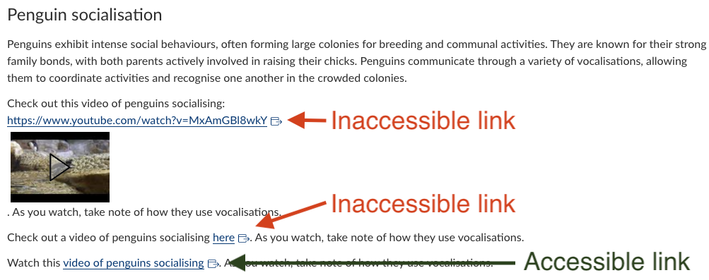 LMS page about penguins with three links. The first hyperlink is a URL, the second hyperlink is on the word ‘here’, and the third link is on the title of the video.