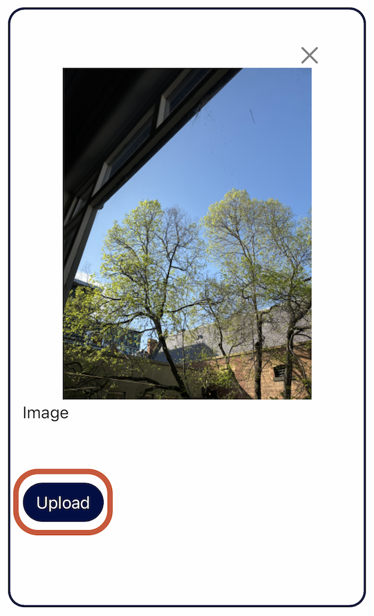 Click on 'Upload' to publish photo onto Observations