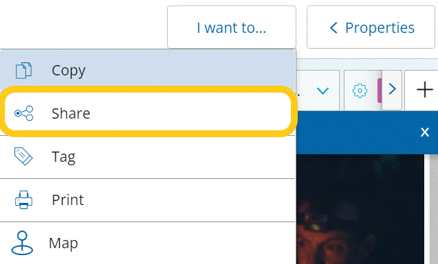Share option highlighted from I want to button options