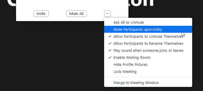 Mute participants option within the Participants window