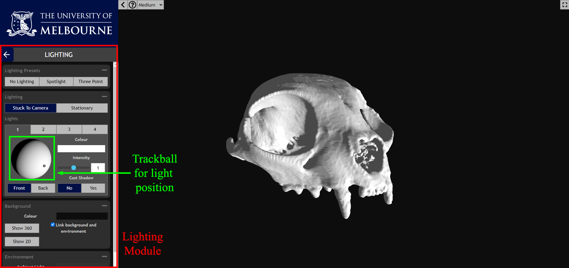 Light direction changed in Pedestal 3D Lighting module to cast shadows on cat cranium 3D model