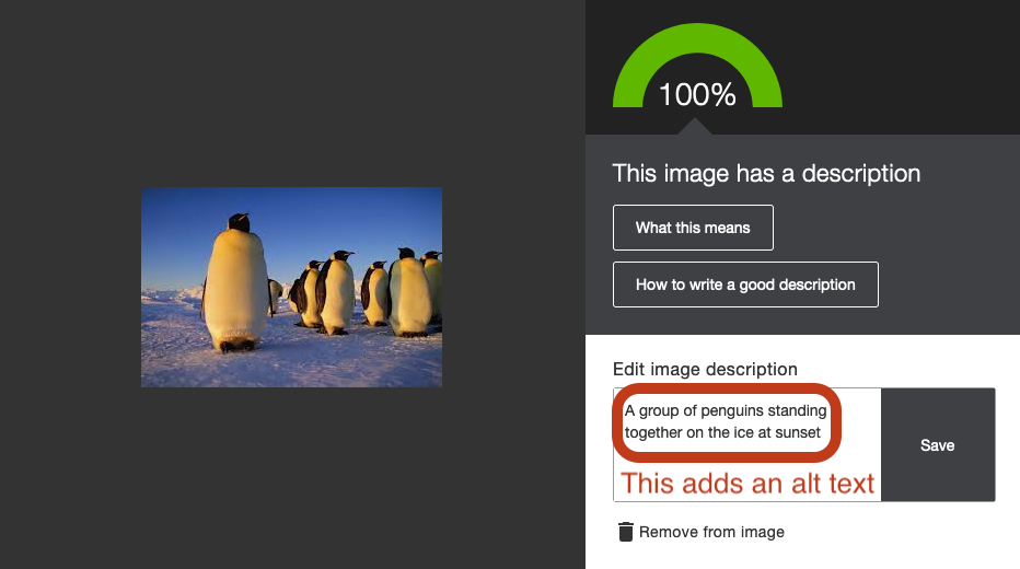 A computer screen with a photo of penguins. The Ally panel is open and showing how to add an alt text.