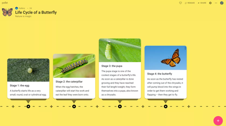 Timeline layout example