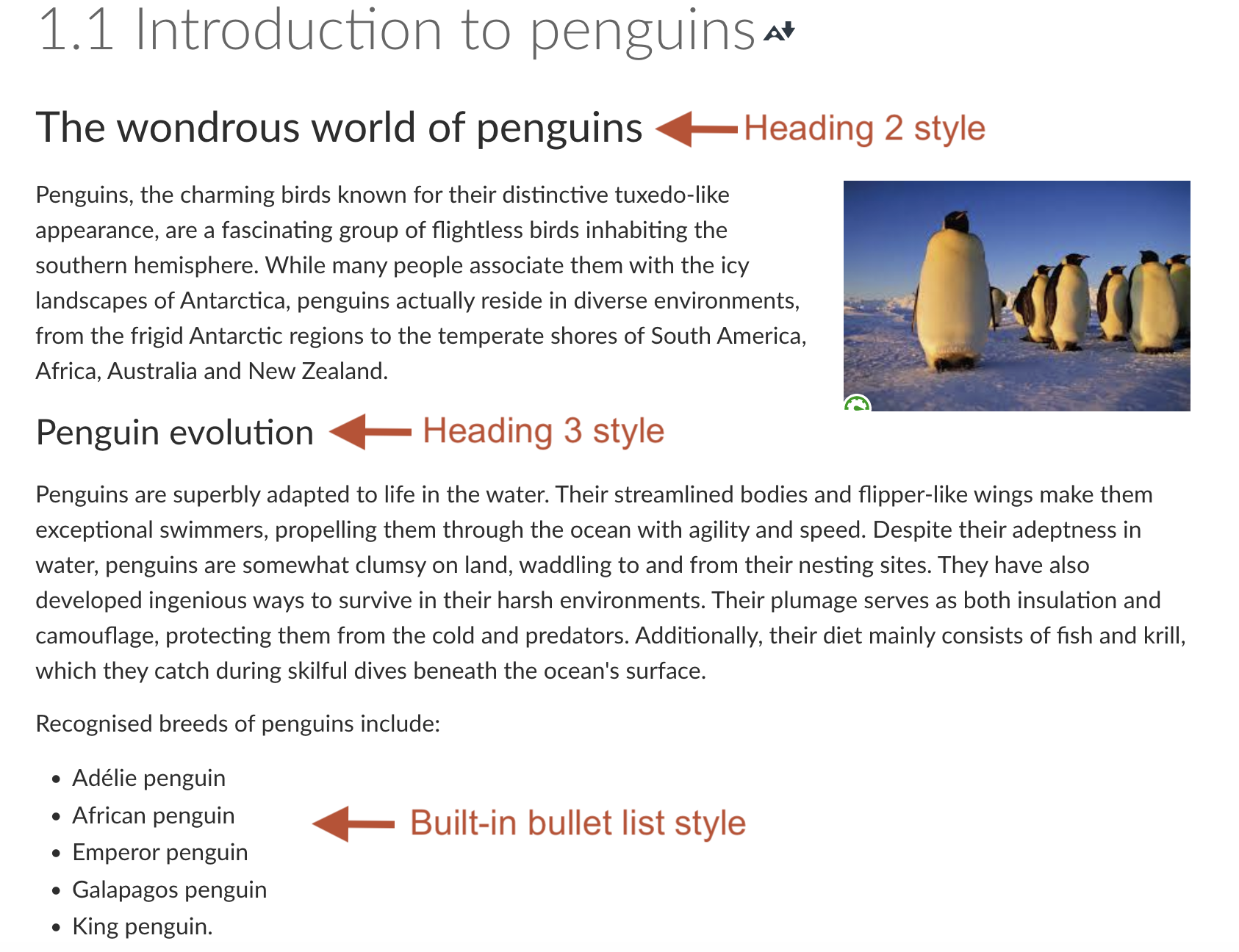 A LMS page about penguins using the built-in Heading 2, Heading 3, and bullet list styles.