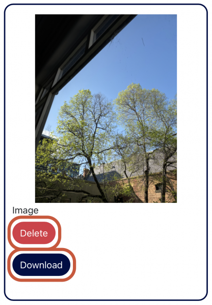 Options to either upload or delete the uploaded photo on a mobile browser Options to either upload or delete the uploaded photo on a mobile browser