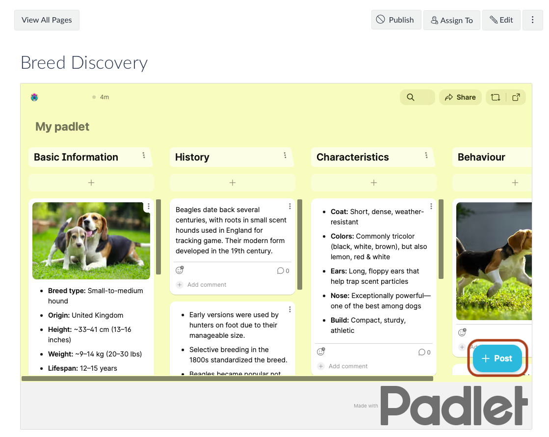 Embedded Padlet wall on a page in the LMS Screenshot showing a Padlet board successfully embedded and displayed within a Canvas LMS page.