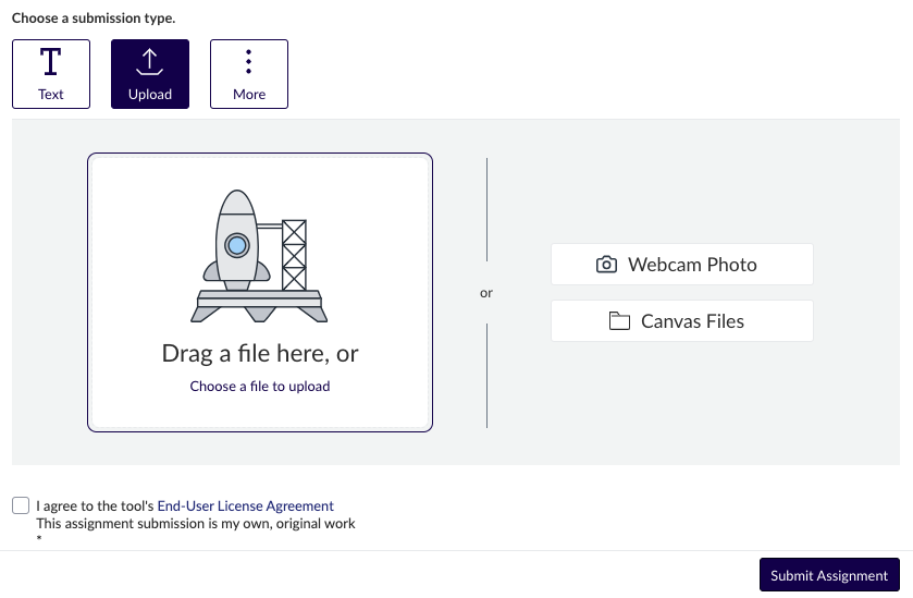 Assignment submission page (submission point) Image of upload/submission mechanism